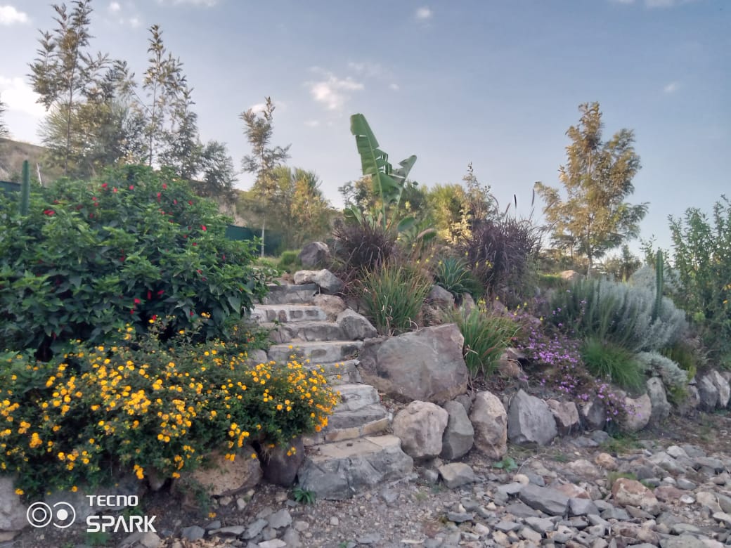 Landscaped rock garden with flowering shrubs and stone steps at Empaash Gardens
